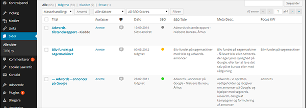Wordpress SEO oversigt over sider